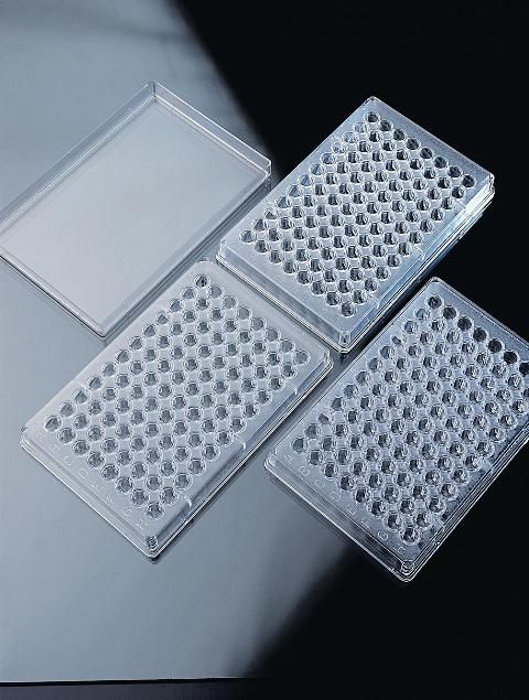 Microtitre Plate U well, 96 plc, Individually wrapped, w/o lid Sterile, 100/pk